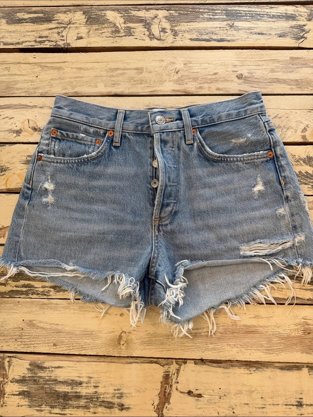 Agolde PARKER VINTAGE CUT OFF SHORT